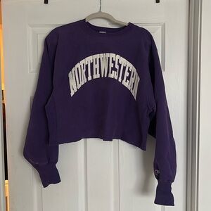 Vintage northwestern cropped crewneck